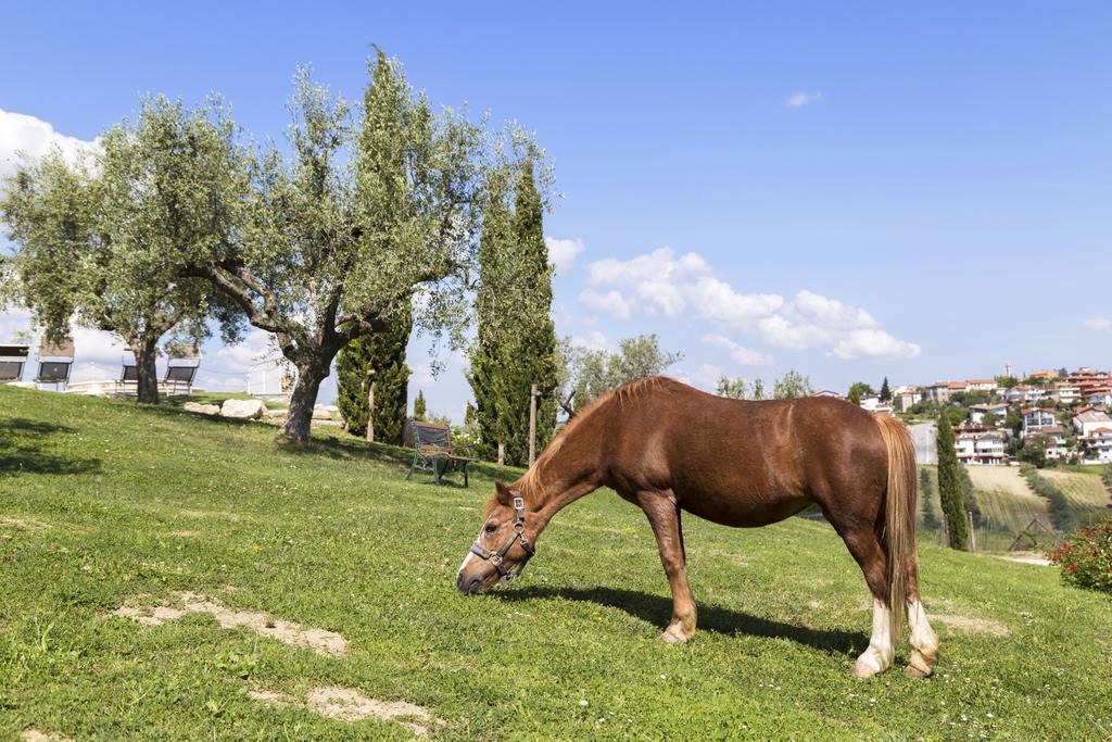 Agriturismo Le Bosche ซานมารีโน ภายนอก รูปภาพ