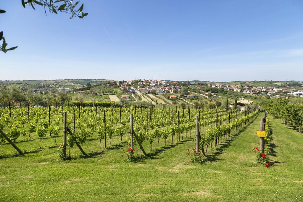 Agriturismo Le Bosche ซานมารีโน ภายนอก รูปภาพ
