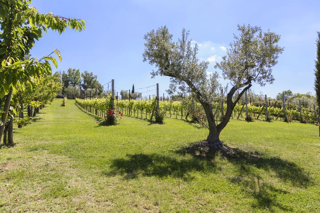Agriturismo Le Bosche ซานมารีโน ภายนอก รูปภาพ